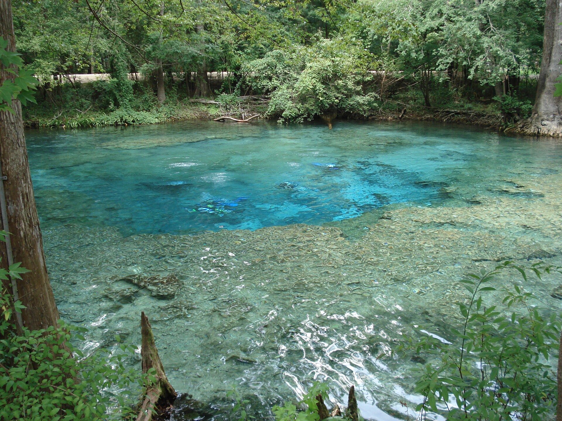 Clear spring water at Ginnie Springs